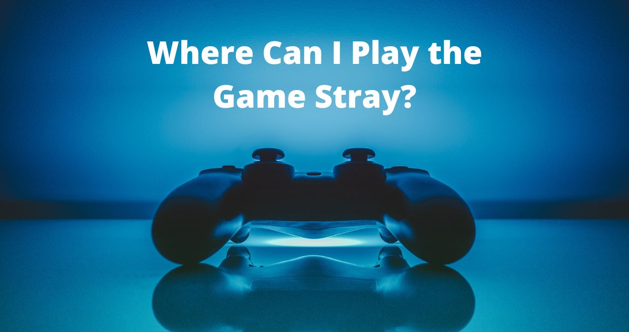 Where Can I Play the Game Stray?