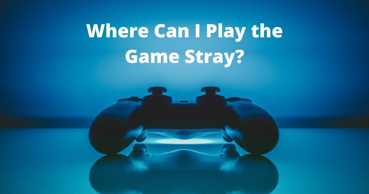 Where Can I Play the Game Stray?